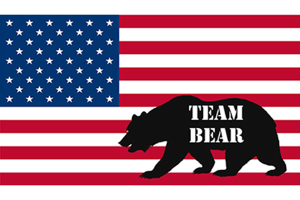 Team Bear